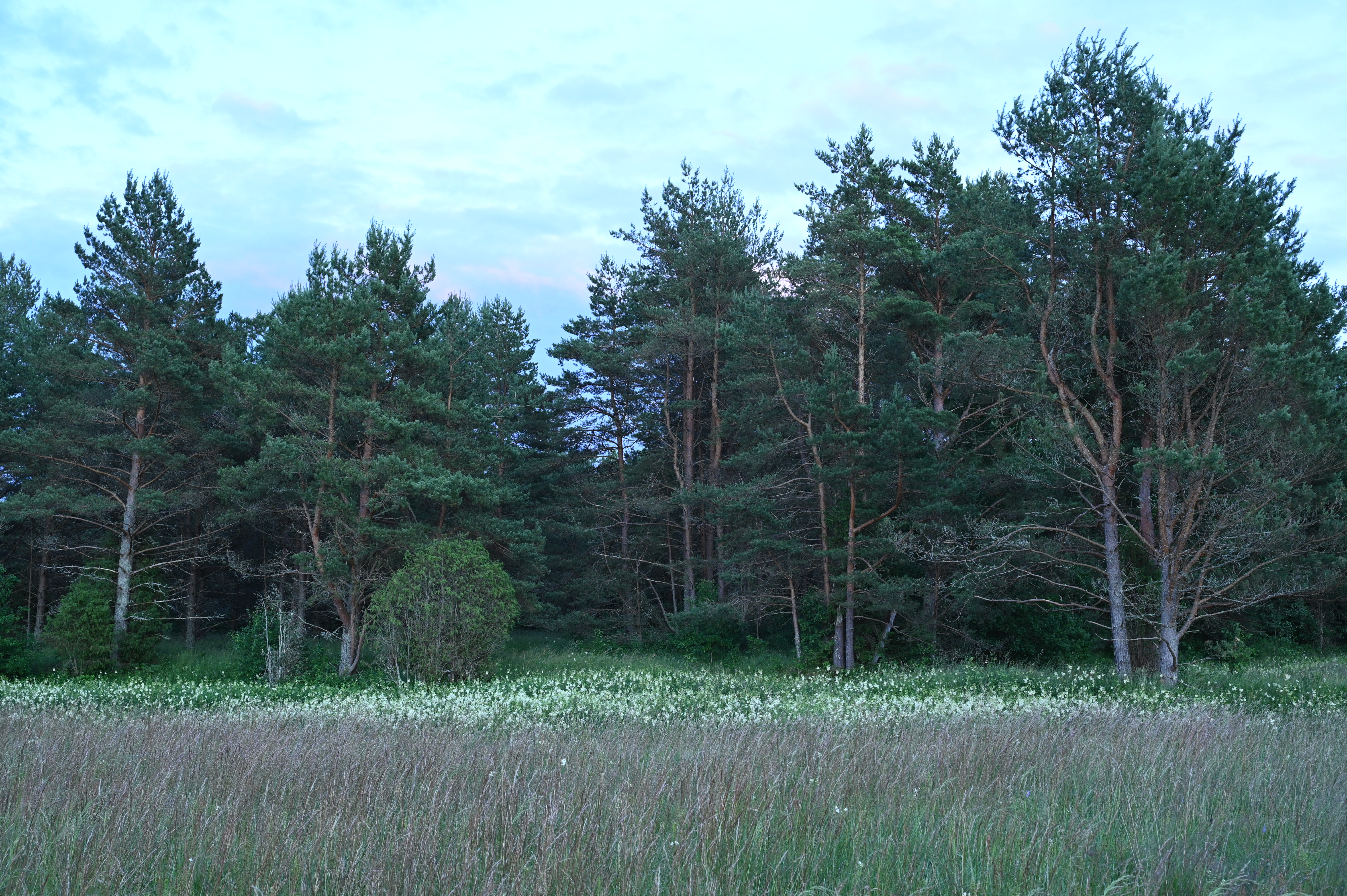 2025/07/09-14 - trip/DSC_0113.JPG